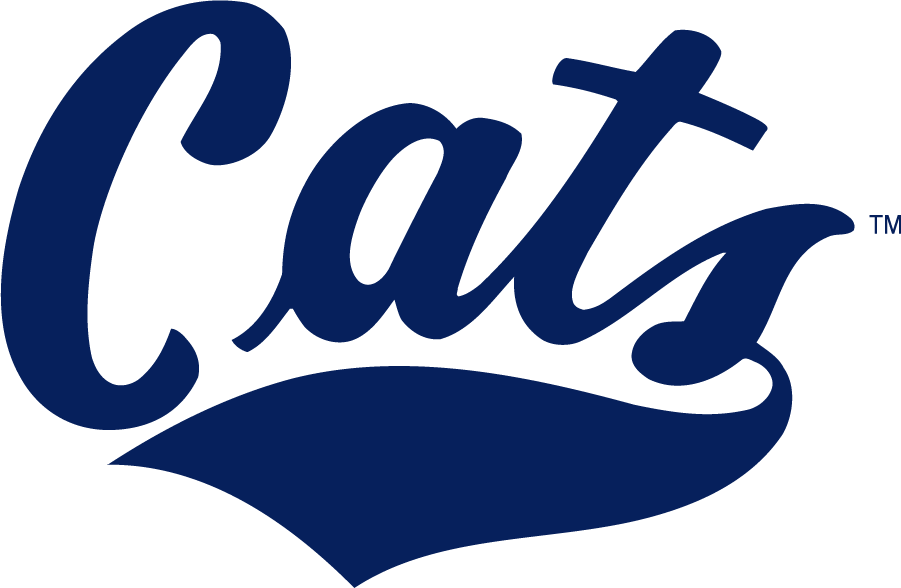 Montana State Bobcats 2013-Pres Wordmark Logo v2 iron on transfers for clothing